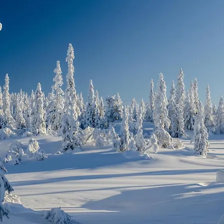 Blefjell 4* Lampeland
