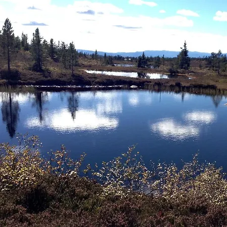 Apart-hotel Blefjell *